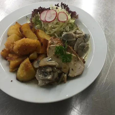 Hora Gæstehus Ratibor (Jindrichuv Hradec )